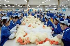 Trung Quốc và Hàn Quốc đối xử với công nhân tệ nhất thế giới