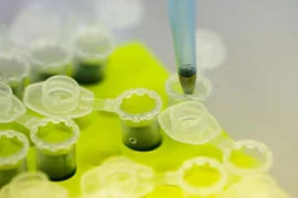 Cận cảnh quy trình sản xuất huyết thanh ZMapp điều trị Ebola
