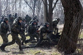 Ukraine lại cáo buộc Nga đưa quân vượt biên giới
