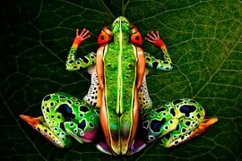 Lạ mắt với kỹ thuật body-painting siêu đẳng