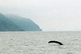 Bí ẩn quái vật hồ Loch Ness sắp có lời giải