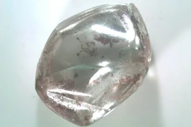 Cụ bà vô tình nhặt được kim cương khủng khi dạo chơi công viên