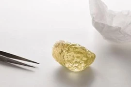 Chiêm ngưỡng viên kim cương hiếm, to bằng quả trứng gà