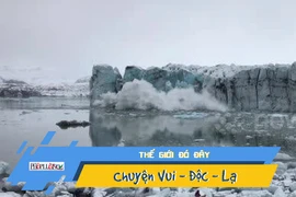 Video: Mọi người tháo chạy khi tảng băng khổng lồ vỡ vụn