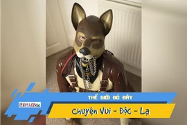 Chán làm người, người đàn ông muốn được hóa chó