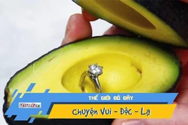 Video: Trào lưu cầu hôn bằng quả bơ gây sốt cộng đồng mạng