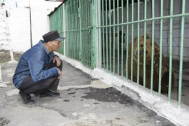 Lạ lùng gấu bị tù chung thân ở đảo tù nghiêm ngặt