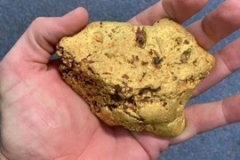 Dò kim loại, tình cờ phát hiện 1,4 kg vàng thô