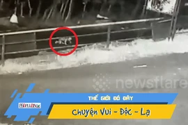 Bố mẹ đánh rơi con, 50km sau mới phát hiện