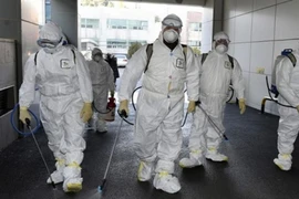 Nhân viên y tế khử trùng tại thành phố Daegu. Ảnh: AFP