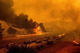 Bé trai ôm chó cưng thiệt mạng trong đám cháy ở California 