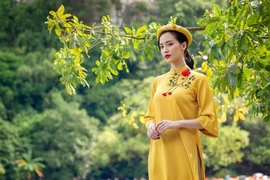 Thong dong xem áo dài ngày tết