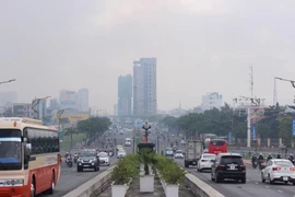 Đà Nẵng đưa ra đấu giá nhiều khu đất vàng