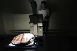 Hy hữu: Bệnh viện 2 giờ nội soi cứu rùa biển ngộ độc rác thải