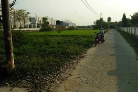 Cảnh báo khẩn việc giá đất nông thôn bị 'làm loạn'