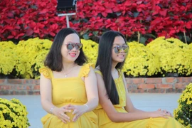 Trẩy hội trên đường hoa tết hơn 6 tỉ đồng ở Đà Nẵng