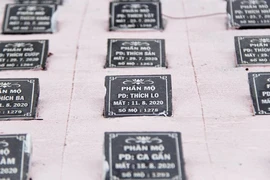 1 nghĩa trang thai nhi tại Đà Nẵng bị đình chỉ hoạt động
