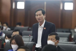 Đại biểu HĐND TP Đà Nẵng: Nên tính toán giảm giá thuê đất cho doanh nghiệp