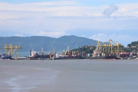 Đang lấy ý kiến về dự án nhận chìm vật chất nạo vét khu vực cảng Sơn Trà, Đà Nẵng 