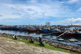 Sản lượng khai thác thủy sản tăng, Đà Nẵng lo thiếu lao động đi biển