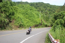  Đường lên bán đảo Sơn Trà, Đà Nẵng được lưu thông trở lại
