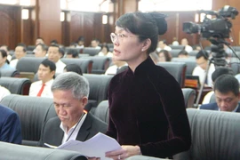 Đại biểu lo lắng vì Đà Nẵng đặt mục tiêu tăng trưởng kinh tế quá cao