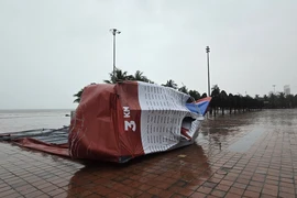 Bão Trà Mi đang vào, 1 số cây và trụ tên đường tại Đà Nẵng ngã đổ