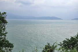 Xây dựng dự thảo nghị định cơ chế đặc thù cho dự án lấn biển ở Đà Nẵng