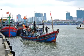 Đà Nẵng sẽ chuyển cảng cá lớn nhất miền Trung thành cảng du lịch