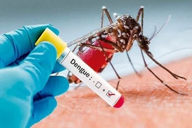 Việt Nam tham gia thử nghiệm vaccine sốt xuất huyết của Nhật Bản