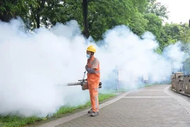 Chikungunya tăng ở nhiều nước, Bộ Y tế yêu cầu siết chặt kiểm dịch ngay tại cửa khẩu
