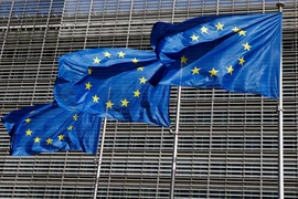 Hungary muốn Nghị viện châu Âu hiện tại giải thể