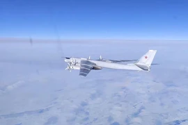 Máy bay ném bom chiến lược Tu-95MS của Nga bay trên vùng biển Bering hôm 14-2. Ảnh: BỘ QUỐC PHÒNG NGA