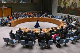 Thông qua nghị quyết kêu gọi ngừng bắn lập tức ở Gaza