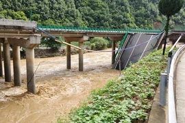 Trung Quốc: Sập cầu cao tốc, 11 người chết, hơn 30 người mất tích
