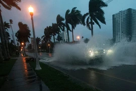 VIDEO: Bão Milton đổ bộ Florida với sức gió cực mạnh