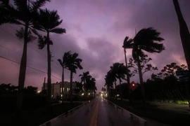 TP Fort Myers hôm 9-10. Ảnh: USA TODAY