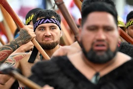 New Zealand: Hàng chục nghìn người biểu tình phản đối dự luật liên quan người bản địa Maori