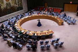 Nga yêu cầu Hội đồng Bảo an LHQ họp khẩn về tình hình Syria