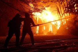 Cháy rừng ở Los Angeles: Cảnh báo gió quái Santa Ana sắp trở lại