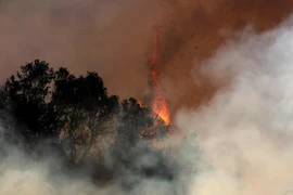 Tình hình cháy rừng ở Los Angeles giờ ra sao?