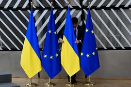 Ukraine bác ý tưởng gia nhập EU ‘một phần’
