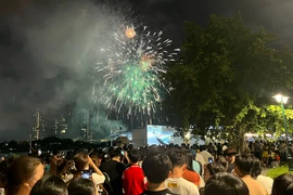Người dân mãn nhãn với màn pháo hoa lễ 2-9