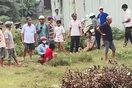 Vụ chọc trâu bị trâu húc ở Bình Chánh: Liệu có được bồi thường?