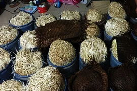 Phát hiện cơ sở dùng hóa chất ủ giá đỗ