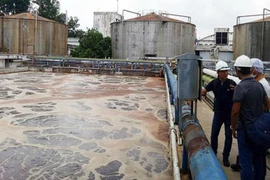 Tạm đình chỉ vô thời hạn đối với Công ty AB Mauri Việt Nam