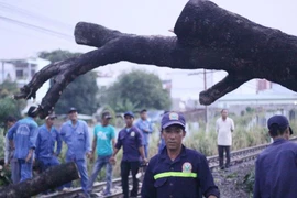 Đường sắt qua Đồng Nai tê liệt nhiều giờ vì cây đổ chắn ngang