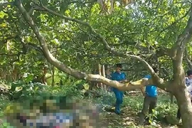Người đàn ông làm nghề môi giới chết bất thường trong rẫy
