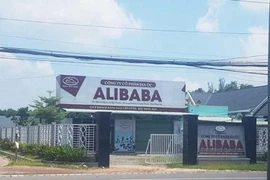 Làm rõ UBND huyện Long Thành có 'tiếp tay' cho Alibaba không?