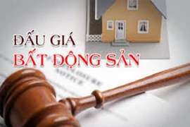 Đồng Nai: Đấu giá đất năm 2021 sẽ thu khoảng 2,2 ngàn tỉ đồng